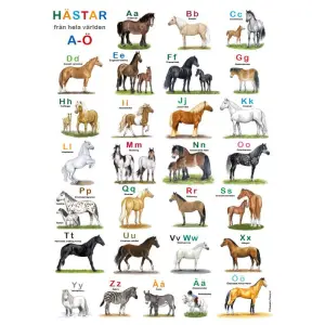 Affisch, H&auml;star ABC