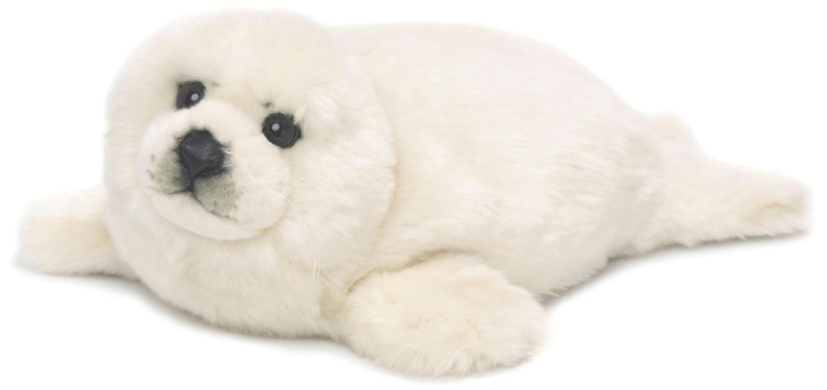 Kalikå Säl - WWF (Världsnaturfonden)