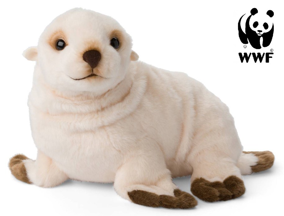 Antarktisk pälssäl - WWF