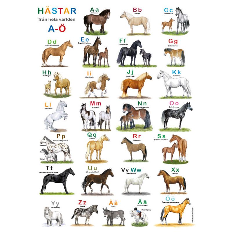 Affisch, Hästar ABC