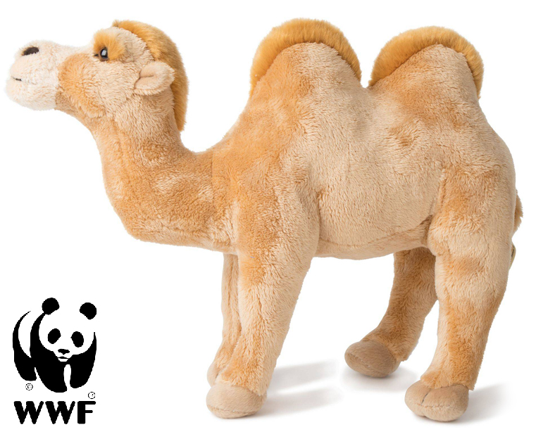 Kamel - WWF