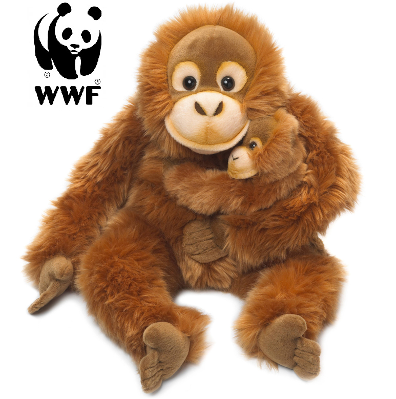 Orangutang med baby - WWF (Världsnaturfonden)