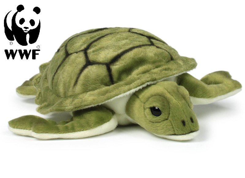 Sköldpadda - WWF (Världsnaturfonden)