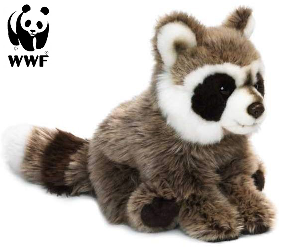 Tvättbjörn - WWF (Världsnaturfonden)