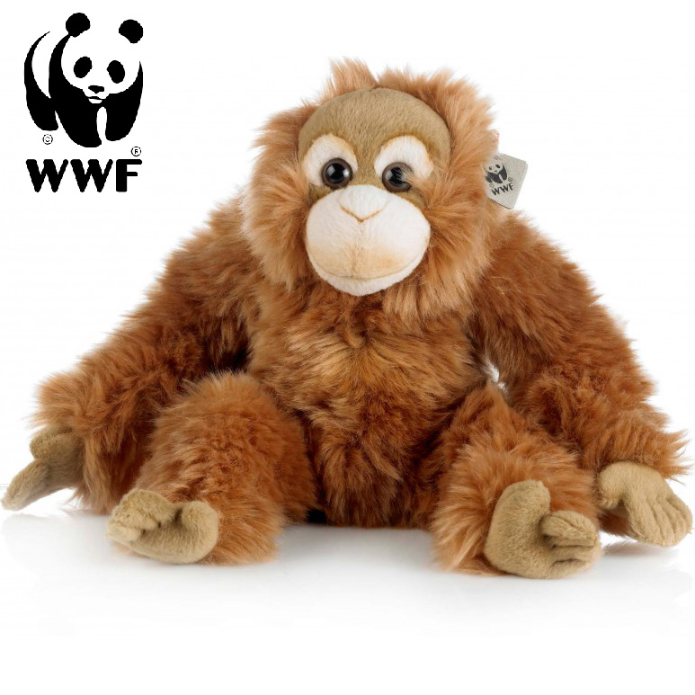 Orangutang - WWF (Världsnaturfonden)